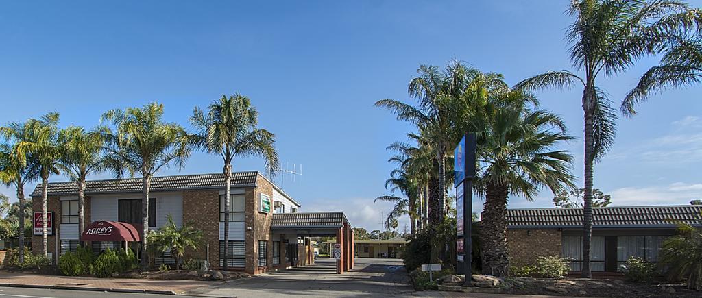 Citrus Valley Motel Renmark Kültér fotó