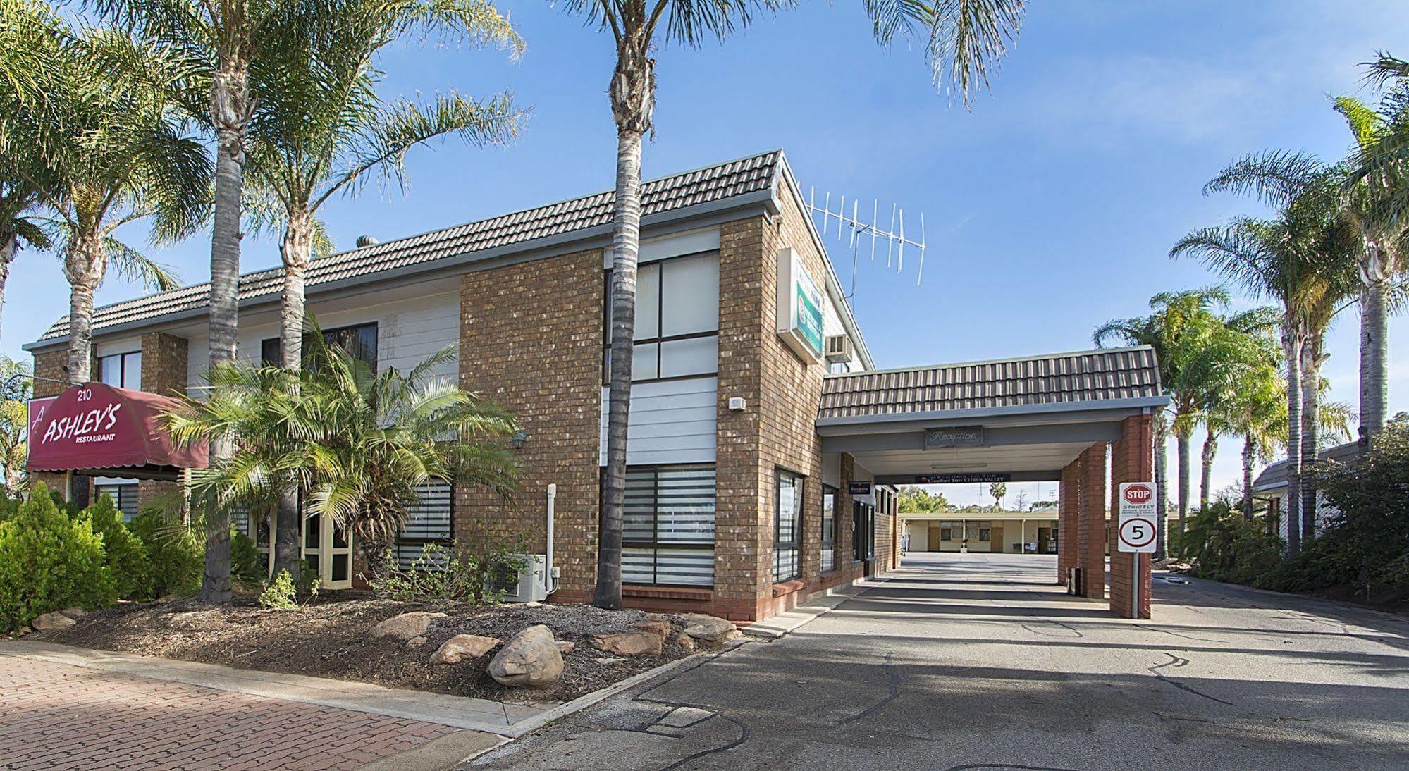 Citrus Valley Motel Renmark Kültér fotó